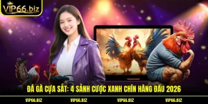 Đá Gà Cựa Sắt: 4 Sảnh Cược Xanh Chín Hàng Đầu 2026